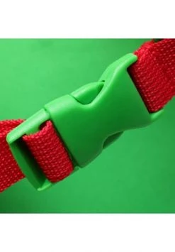 Sigikid® Mini-Rucksack, Volumen 8 L, Für Kinder FROSCH -Spielzeug für Kinder Verkäufe unnamed file 745